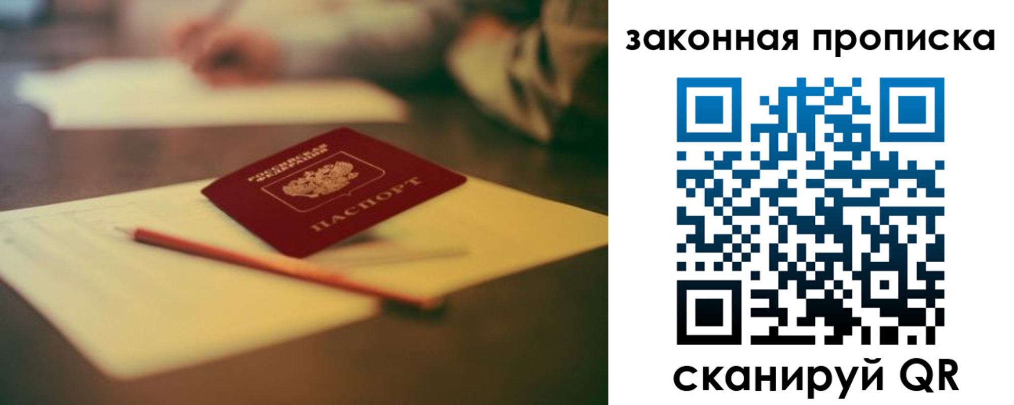 прописка поиск в Павловске